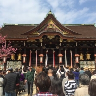 日本除了賞櫻還能賞梅喔！京都北野天滿宮梅花開滿滿！