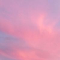 💐君の花になる💐~なりきり