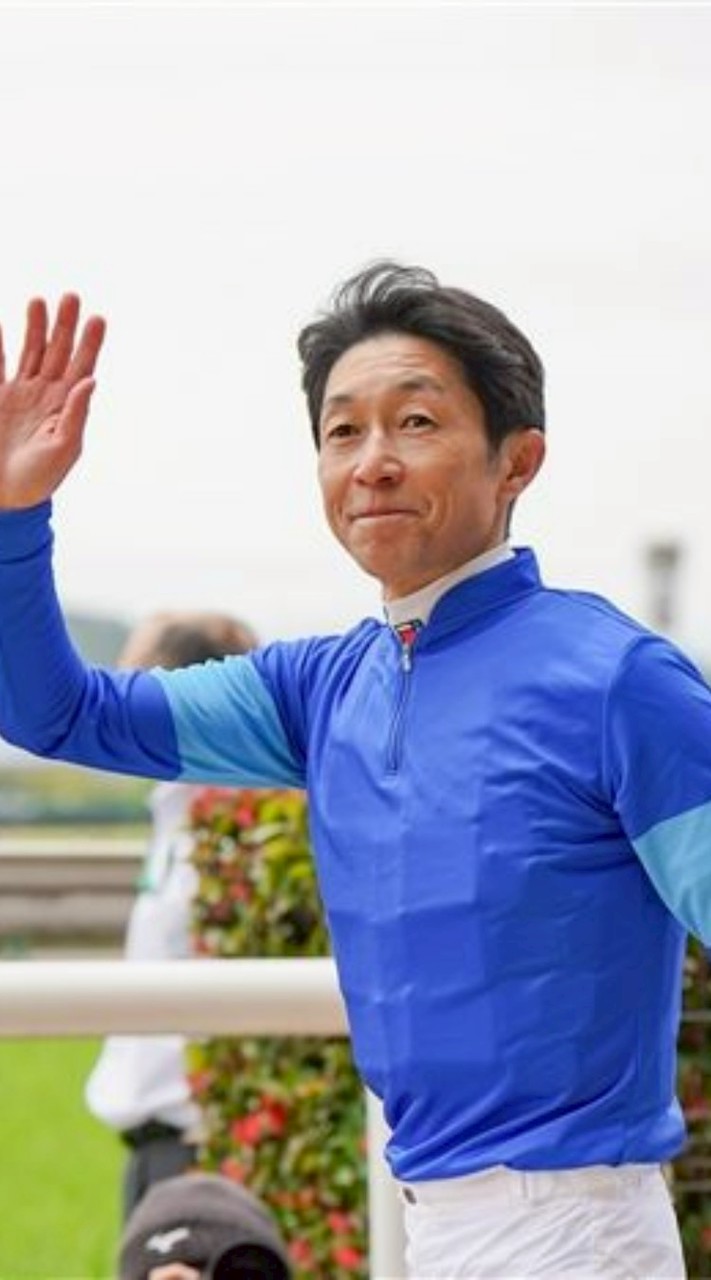 武impact豊