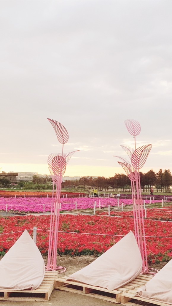 失💕瘋～拈🌻惹🍀