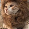 🐻慢性疲労や慢性疼痛で悩む人のための井戸端会議