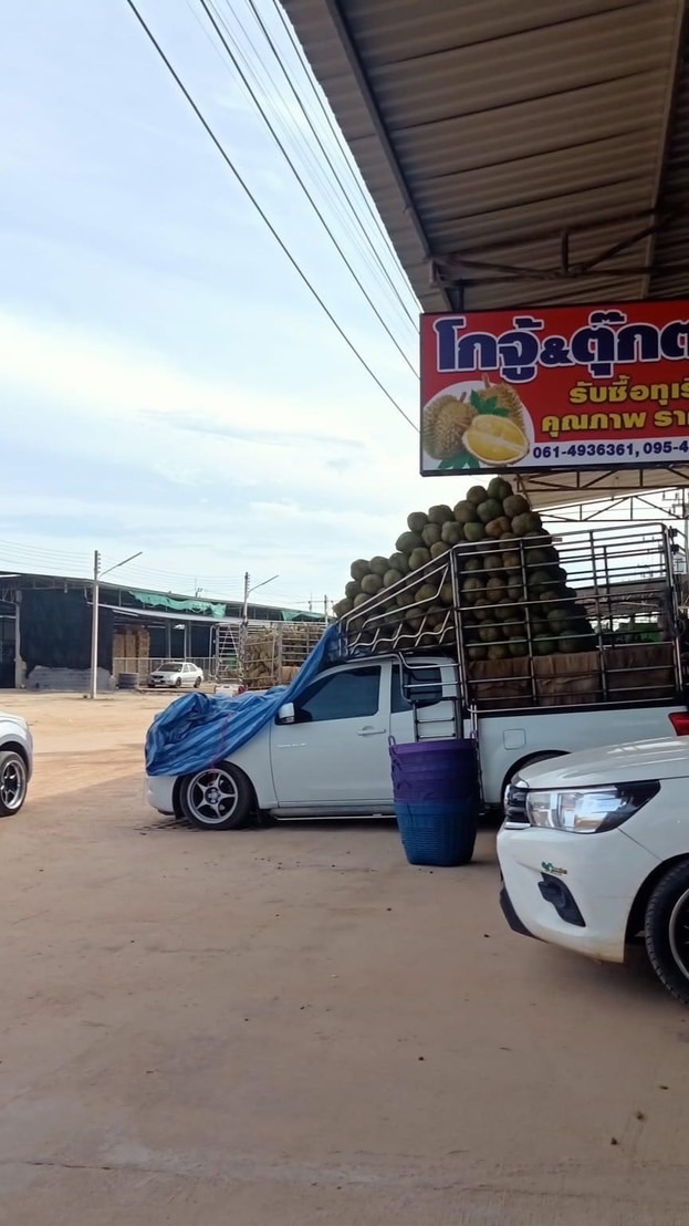 แจ้งราคาแผงโกจู้ตุ๊กตา (จันทร์บุรี)