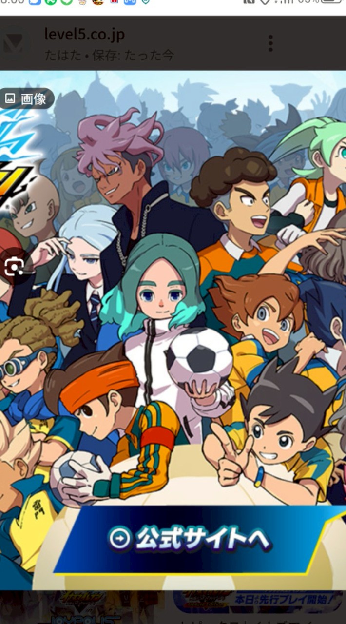 イナイレヴィクトリーロード　交流会