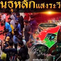 แหล่งเพาะพันธุ์ พม่าแข้งหน้า-เหล่าทรัพย์เจริญ-พัฒนา