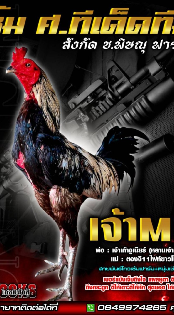 ซุ้ม ศ.ทีเด็ด สังกัด ช.พิษณุฟาร์ม🐓