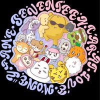 𝟙𝟟Seventeen周邊小物團購