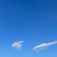 阿姨，我不想努力了之之聊天大亂鬥