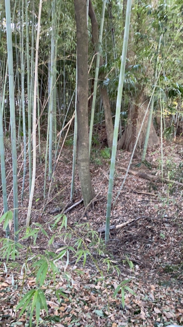 雑談お話会𓀫𓀠 𓀡 𓀤