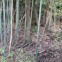 雑談お話会𓀫𓀠 𓀡 𓀤