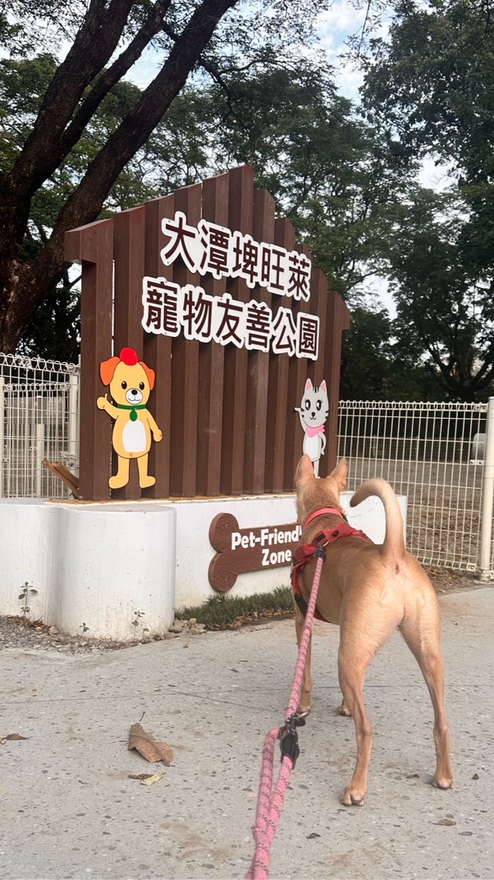 旺萊寵物公園狗友社