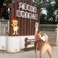 旺萊寵物公園狗友社