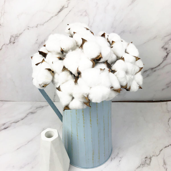 進口乾燥天然棉花單支-乾燥花圈 乾燥花束 拍照道具 室內擺飾 乾燥花材 裝飾插花鄉村風-28元/1支