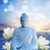 佛陀心靈診療室