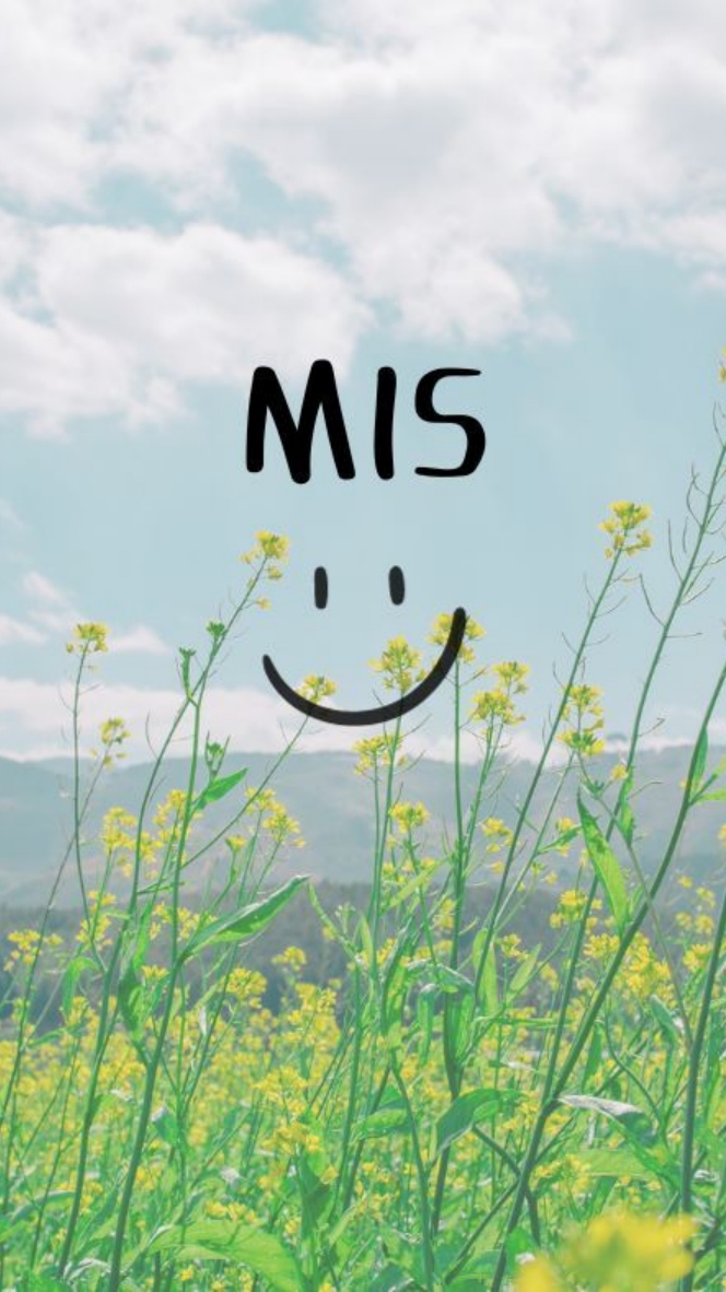 SALES & MIS