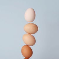 生活クラブ厚別