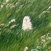 民防自主訓練/爬山練身體