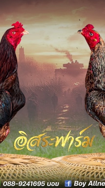 อิสระฟาร์ม