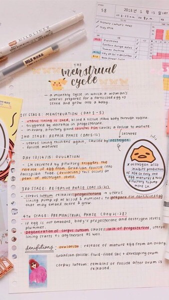 แลกเปลี่ยนชีทสรุปกันเถอะ