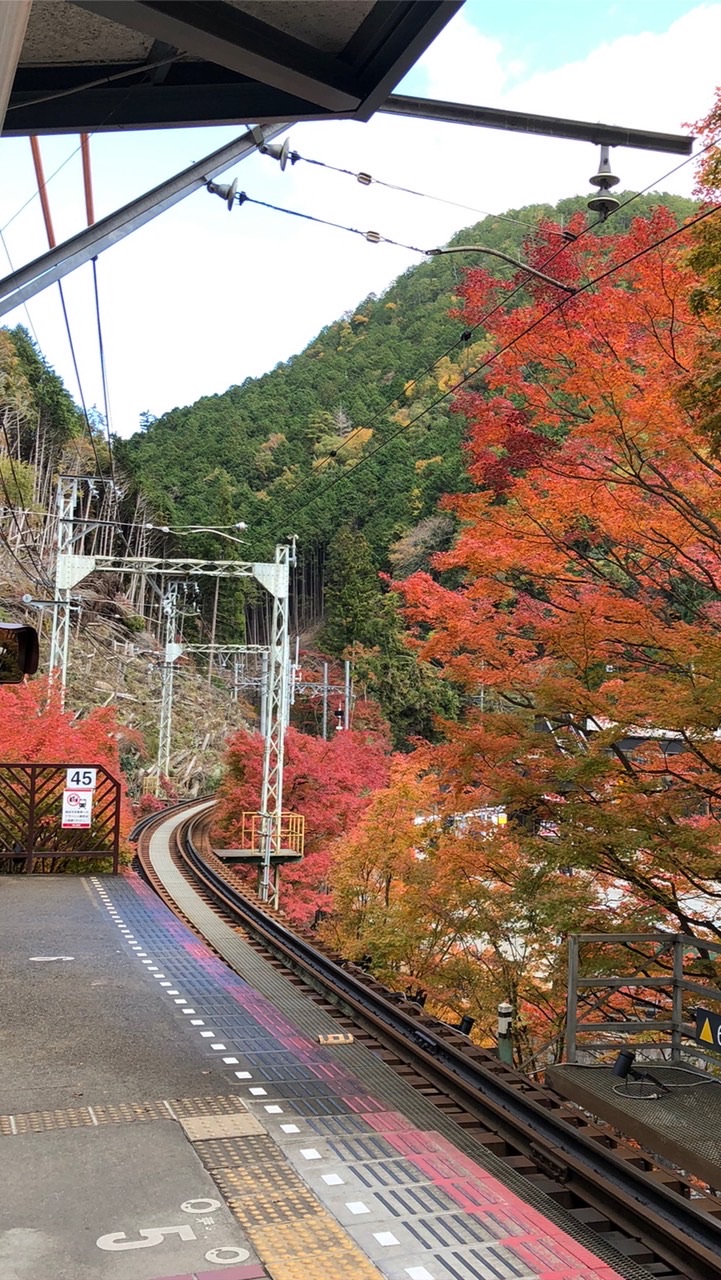 関西🚃電車で御朱印巡り部🌟30代、40代、50代〜