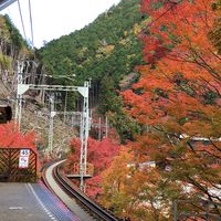 関西🚃電車で御朱印巡り部🌟30代、40代、50代〜