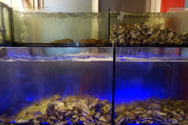 台北聚餐火鍋吃到飽-嗨蝦蝦百匯鍋物吃到飽，罐裝啤酒喝到飽，單點級水準火鍋吃到飽，頂級和牛、生蠔、盒裝冰品吃到飽