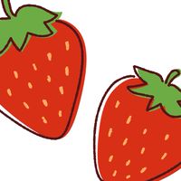 いちご王国(雑談おk)