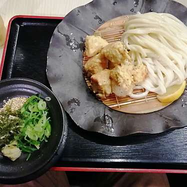 ユーザーの口コミ 小麦の実り 灘本店 こむぎのみのり 下河原通 大石駅 うどん By Line Conomi