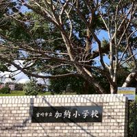 1年1組保護者グループ