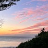 北大 三鶯 樹林 房地產交流