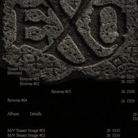 1/21-1/28 EXO首爾快閃代購