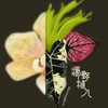 瘋野植人☘️🌺🌻🌸