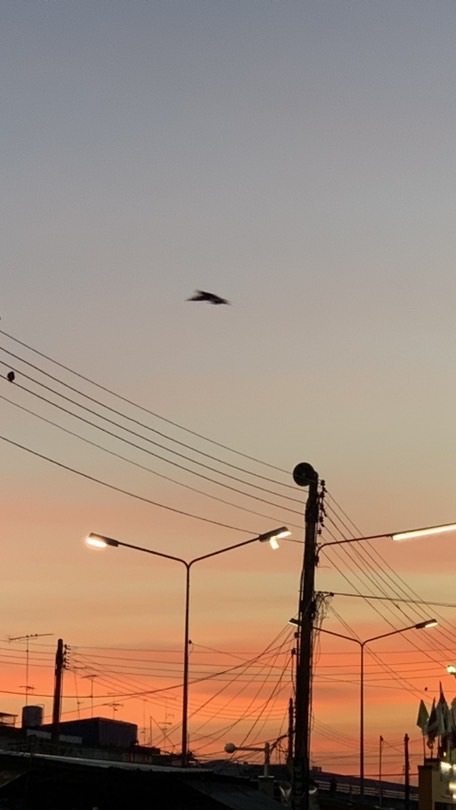 สั่งเบียร์ในนี้ได้เลยนะค้าบ❤️🦋