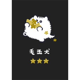 毛玉犬（星）