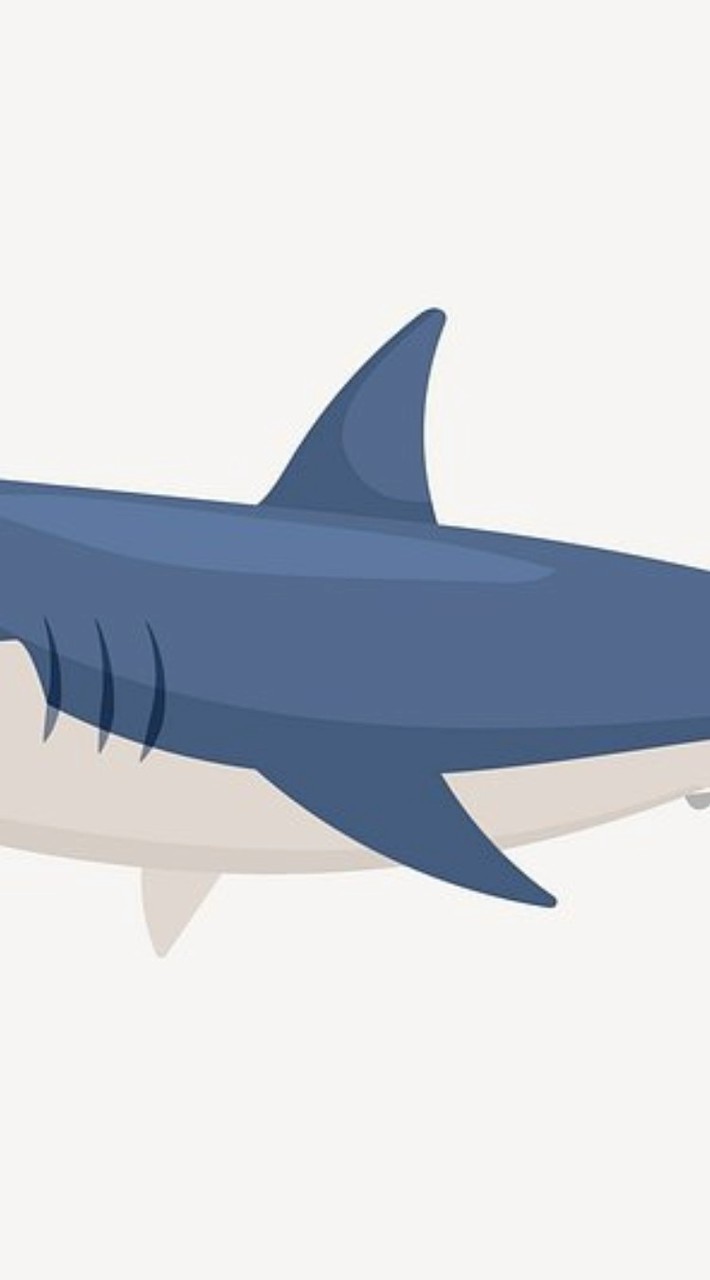 [WireShark Academy] 網鯊學院