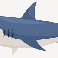 [WireShark Academy] 網鯊學院