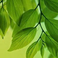 生活保護のくらし