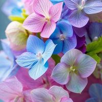 生活保護のくらし