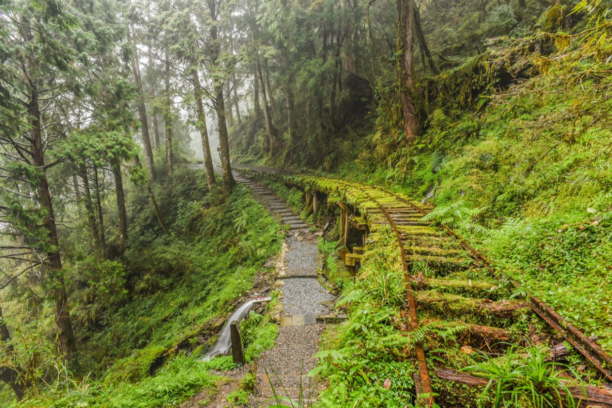 ９條宜蘭森林步道防疫秘境｜宜蘭森呼吸走步道防疫