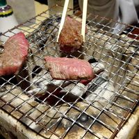 あつ株！あつまれ、株式の森！