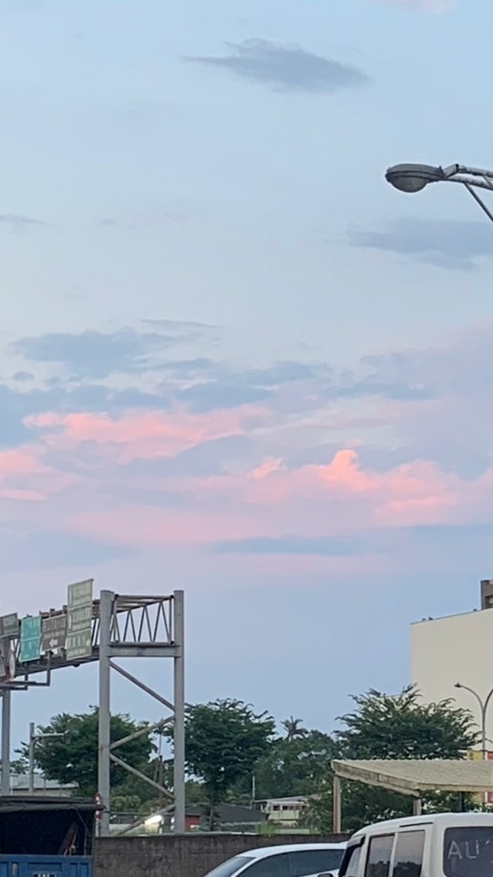貓咪調查組-喵😻