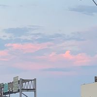 貓咪調查組-喵😻