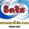 อิดรีส จำหน่ายปลาน้ำจืด เพจสาขา2