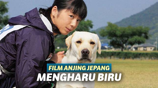 6 Film Anjing Jepang Mengharu Biru Wajib Ditonton Dog Lovers