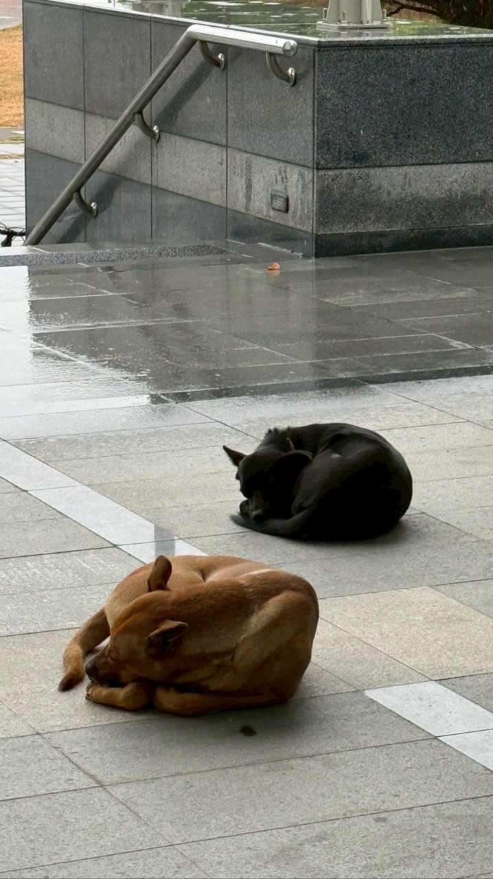 猜猜我素誰