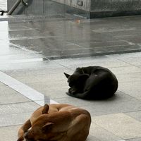 猜猜我素誰