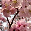 アイコン、シ―ル帳見せ合い、垢抜けメイク、恋の相談、宣伝する場所!!