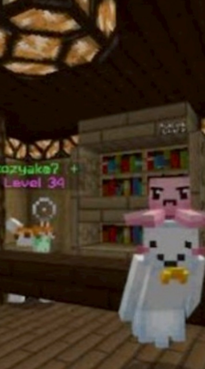 マイクラメインの雑談オプ！
