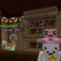 マイクラメインの雑談オプ！