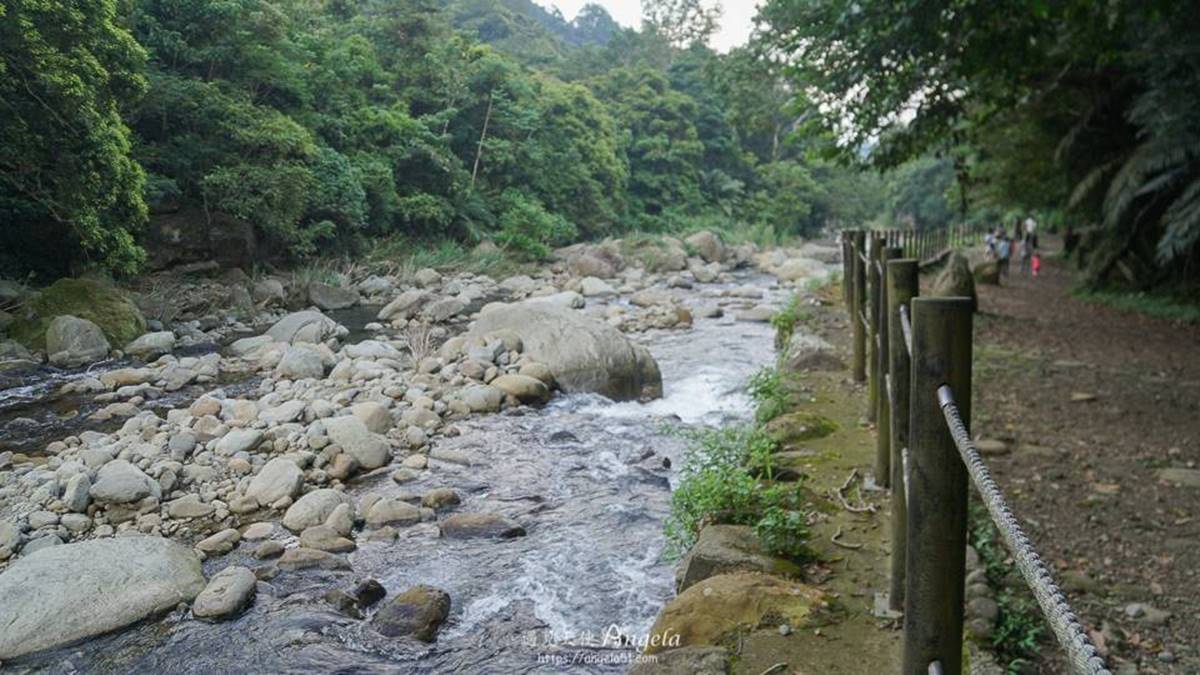 避暑祕境快收藏！苗栗６條免門票「私房步道」：羽量級小百岳、美國大峽谷