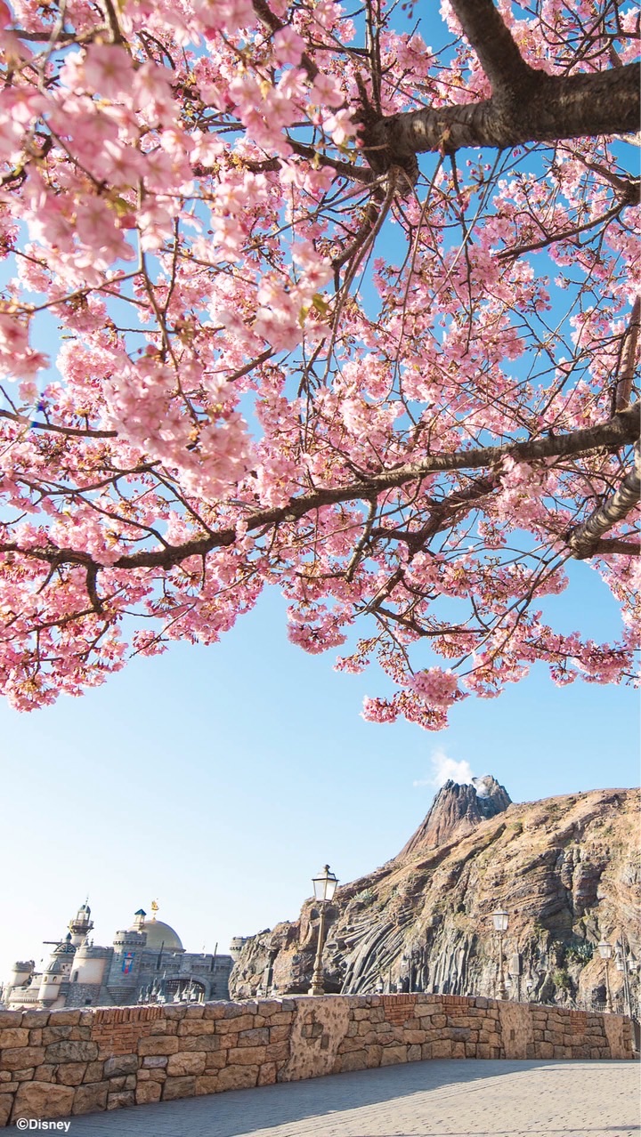 ひよとお🕊️➖予定の方！